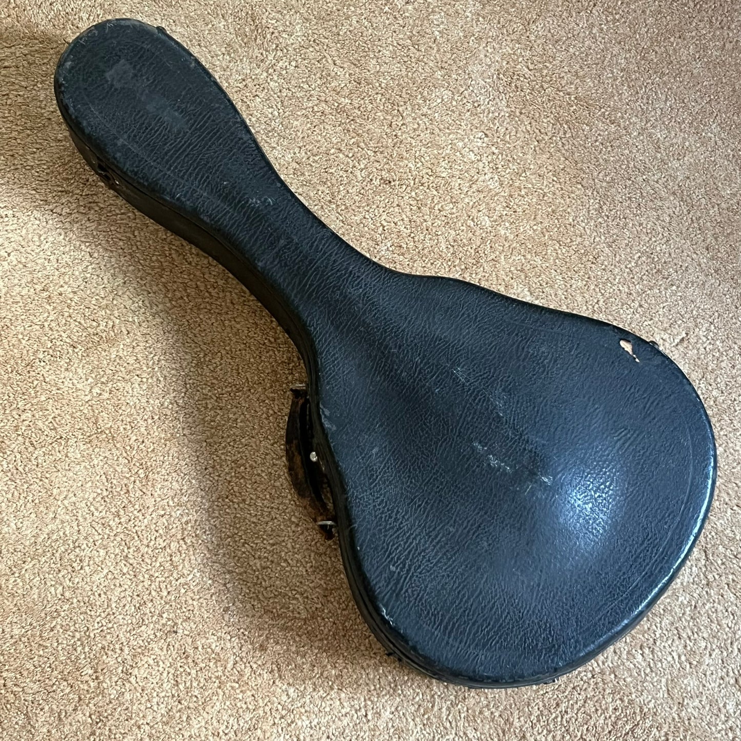 1937 National Style 3 Single Cone Mandolin w' Calton Flight Case Lilly of the Valley