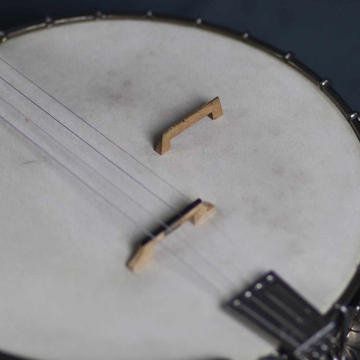 1926 Vega Tu-Ba-Phone #9 Custom Plectrum Jazz Banjo