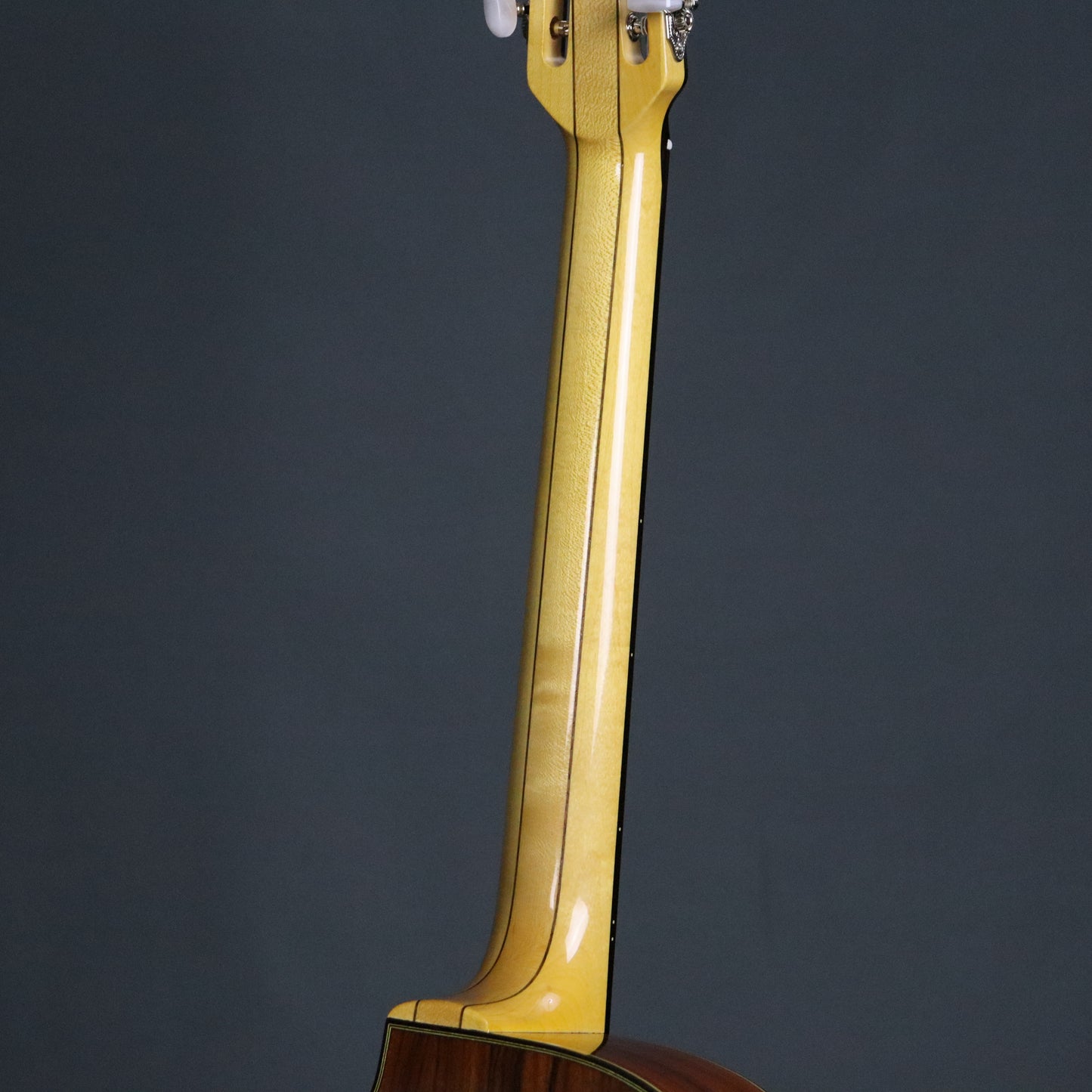 Stringphonic "FV" Advanced Favino Rosewood Gypsy Jazz Guitar Django
