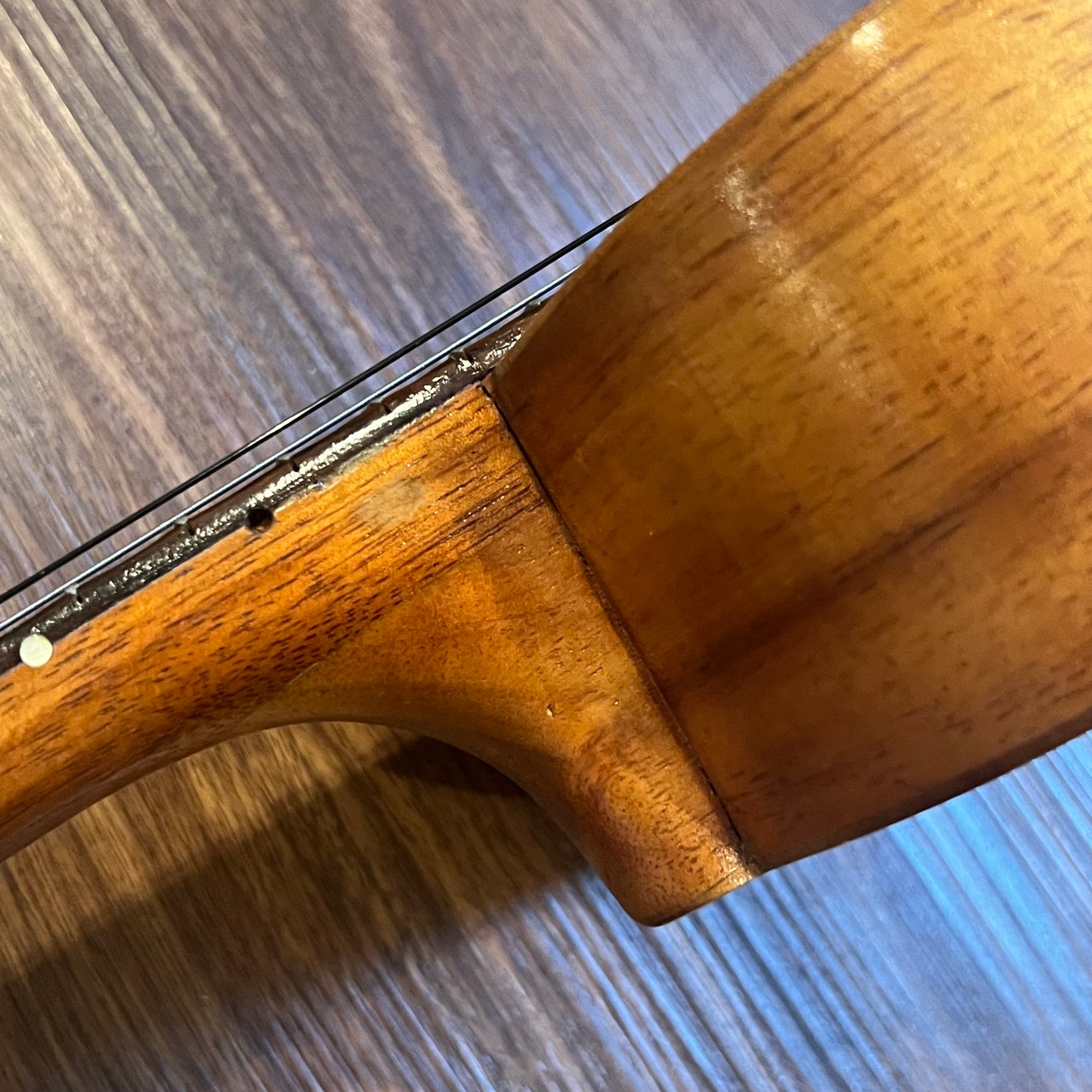 CLEAN 1950's Kamaka Gold Label SAIL HEADSTOCK Tenor Ukulele Professional Uke